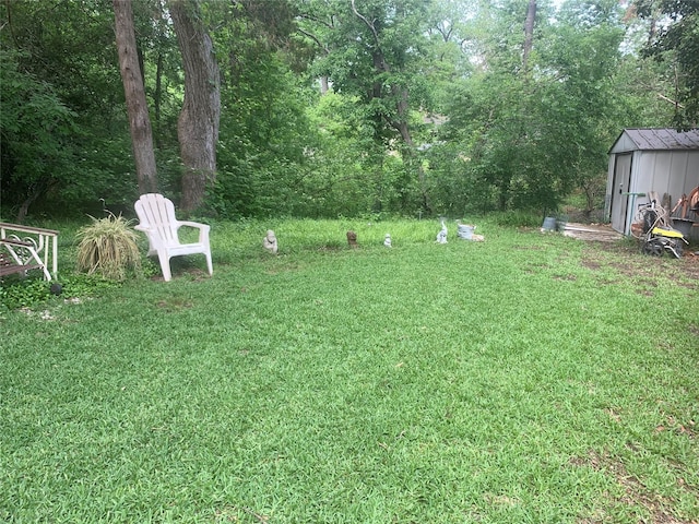 view of yard with a shed