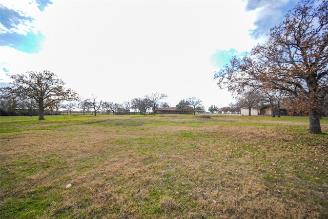 view of yard with a rural view