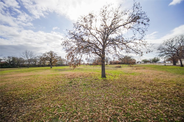 view of yard featuring a rural view