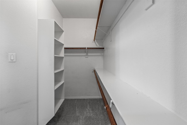 walk in closet featuring dark colored carpet