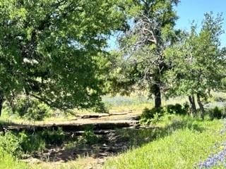 Listing photo 2 for TBD County Road 432, Mullin TX 76864