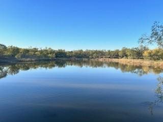 Listing photo 3 for TBD County Road 432, Mullin TX 76864