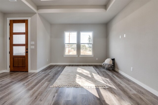 foyer entrance featuring light hardwood / wood-style floors