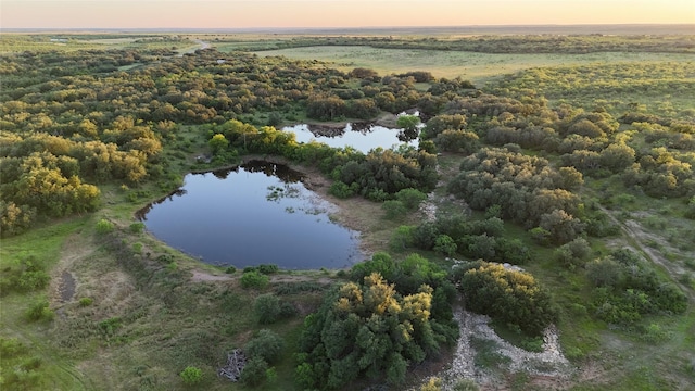 4048 State Highway 206, Coleman TX, 76834 land for sale