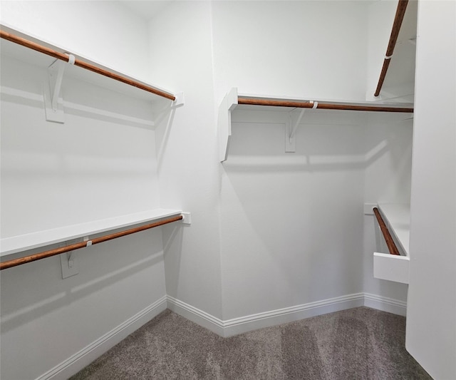 walk in closet with carpet floors