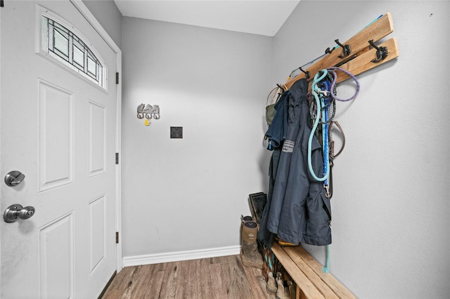 mudroom featuring wood-type flooring