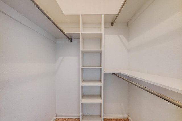 walk in closet featuring carpet flooring