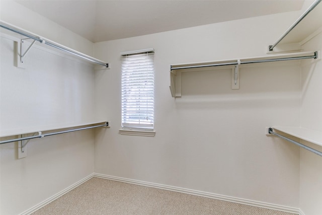 walk in closet featuring light colored carpet