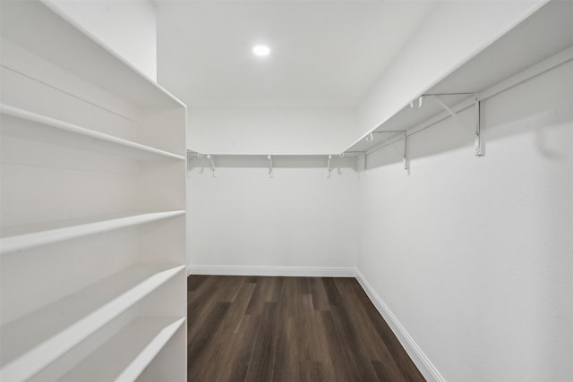 walk in closet featuring dark hardwood / wood-style floors