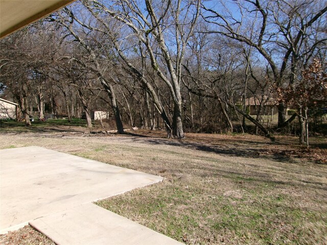 view of yard with a patio