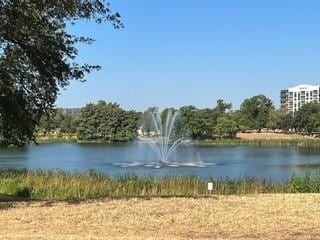 view of water feature