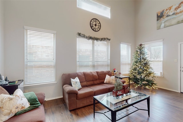 living room with hardwood / wood-style flooring and a towering ceiling