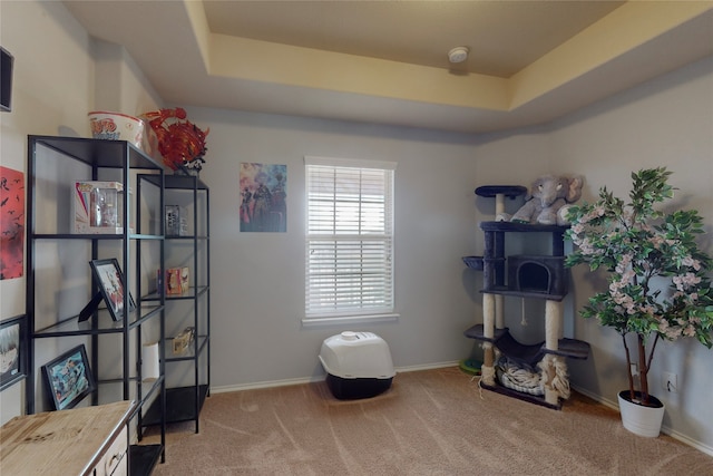 misc room featuring carpet and a tray ceiling