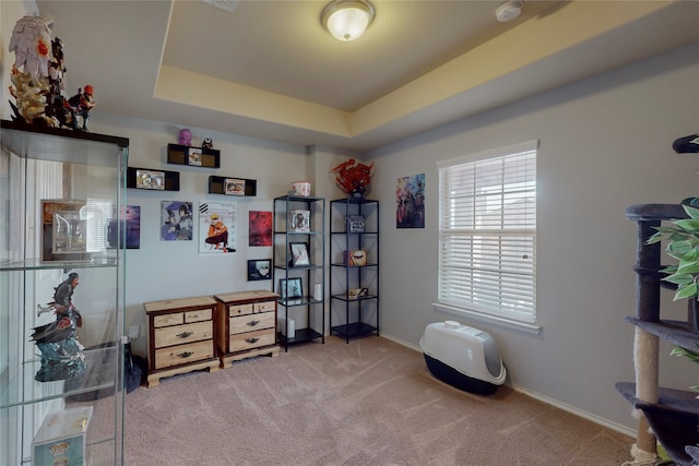 miscellaneous room with light colored carpet and a tray ceiling