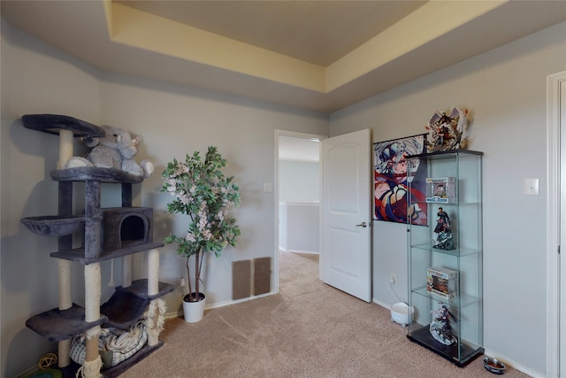 misc room featuring light colored carpet and a raised ceiling