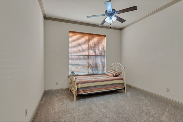 carpeted empty room with a raised ceiling, ceiling fan, and ornamental molding