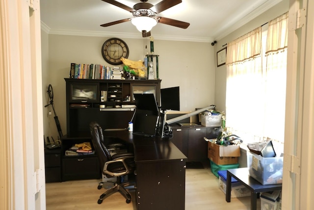 office with ornamental molding, ceiling fan, and light hardwood / wood-style floors