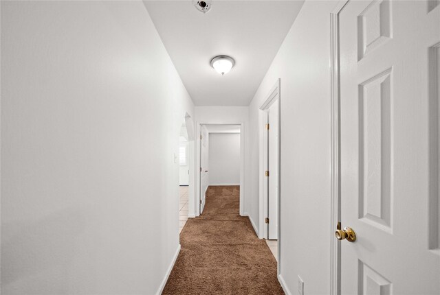 hallway with carpet