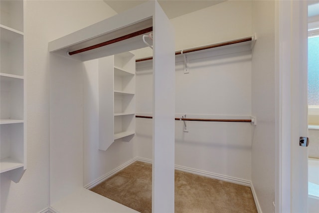 walk in closet with light carpet