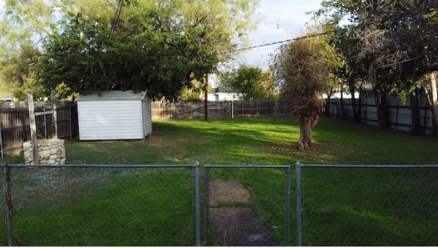 view of yard with a shed