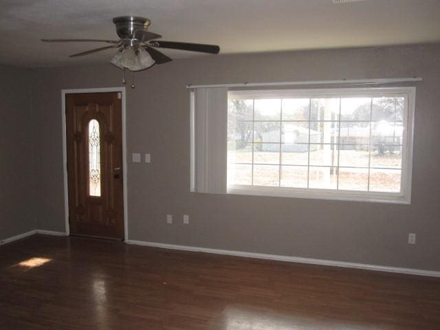 foyer featuring dark hardwood / wood-style floors and ceiling fan