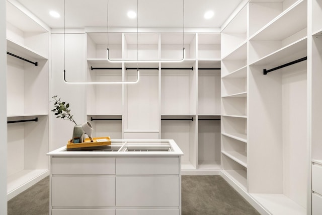 spacious closet featuring carpet flooring