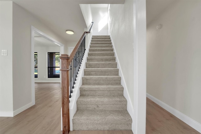 staircase featuring wood-type flooring