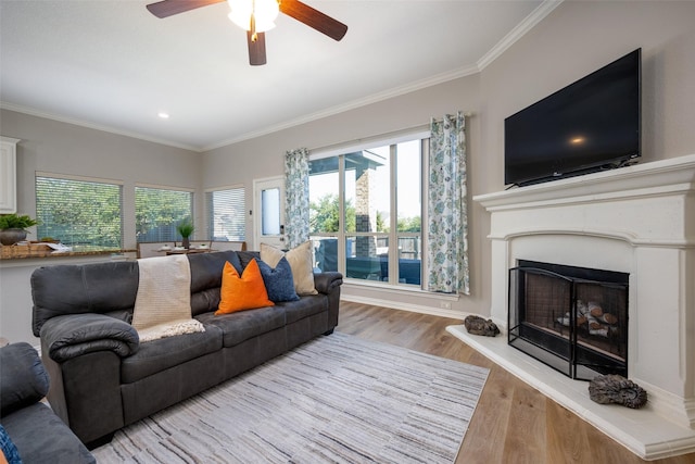 living room featuring ceiling fan, light hardwood / wood-style floors, and ornamental molding