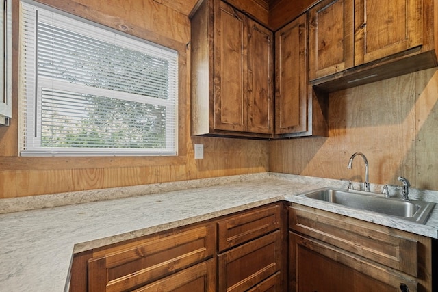 kitchen with sink and wood walls