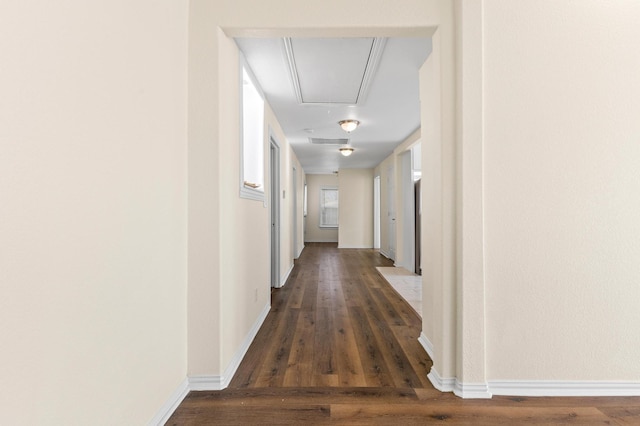 hall with dark hardwood / wood-style flooring