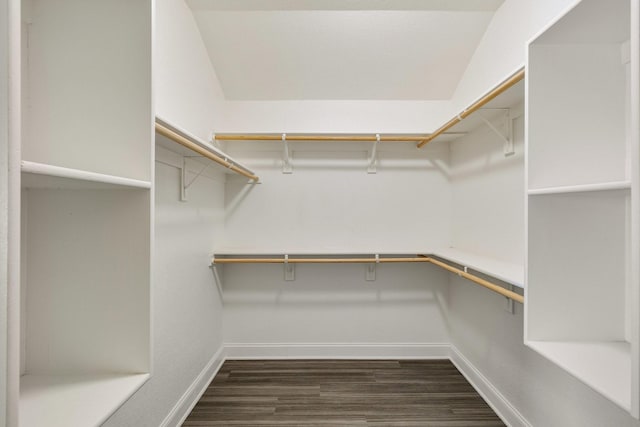 walk in closet featuring dark hardwood / wood-style floors