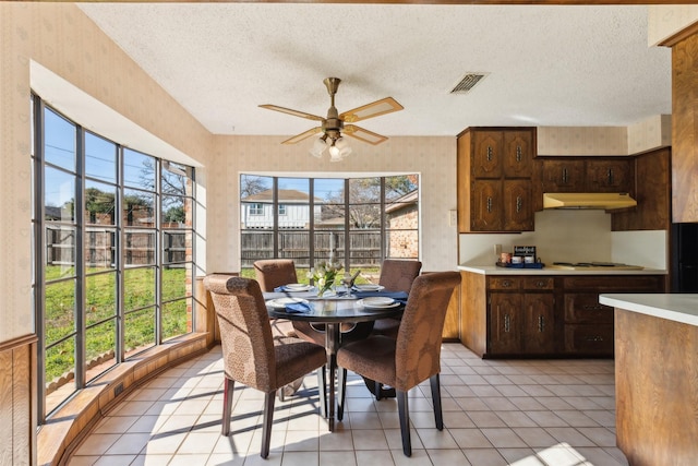 interior space with ceiling fan, plenty of natural light, and a textured ceiling