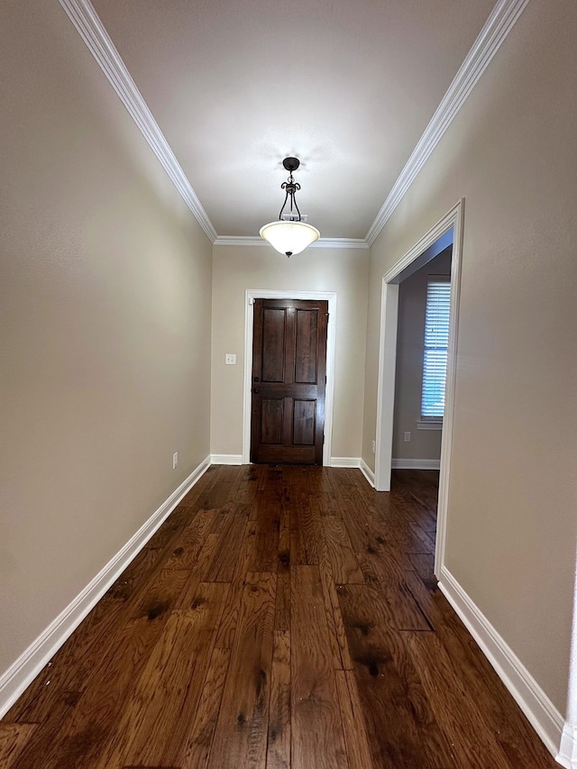 entryway featuring crown molding and dark hardwood / wood-style flooring