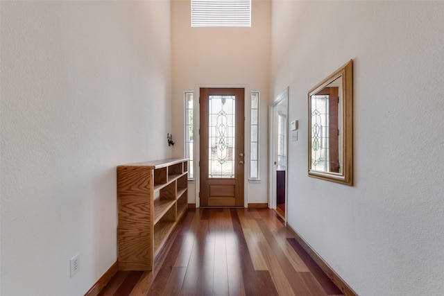 foyer entrance featuring hardwood / wood-style floors and a high ceiling