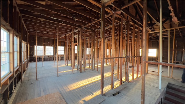 miscellaneous room with plenty of natural light