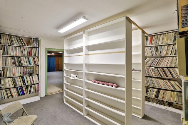 walk in closet with carpet flooring