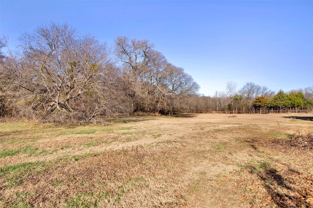 view of yard with a rural view