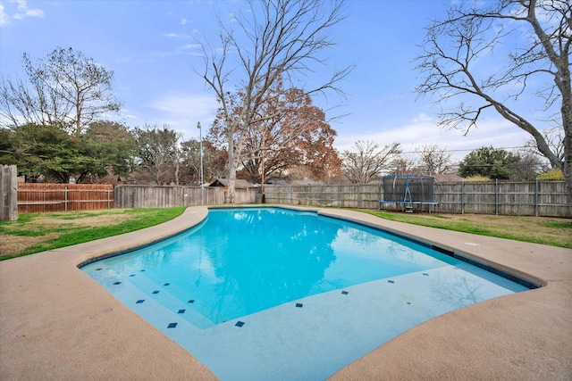 view of swimming pool with a lawn and a trampoline