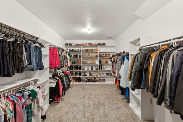 spacious closet with light carpet