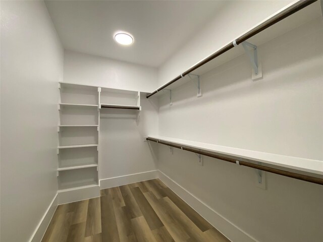 spacious closet with dark hardwood / wood-style floors