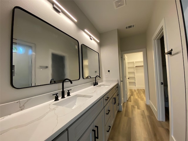 bathroom with hardwood / wood-style flooring and vanity