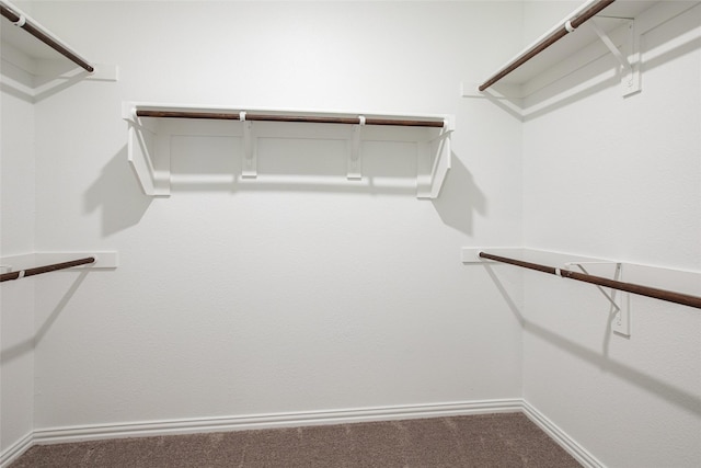 spacious closet with carpet floors