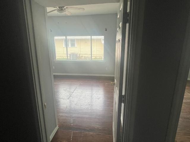 hallway featuring dark hardwood / wood-style flooring