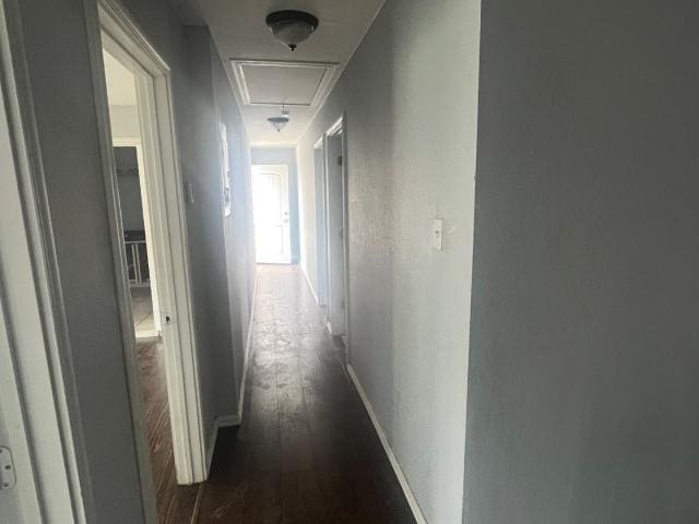 hallway with dark wood-type flooring