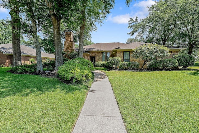 ranch-style house with a front yard