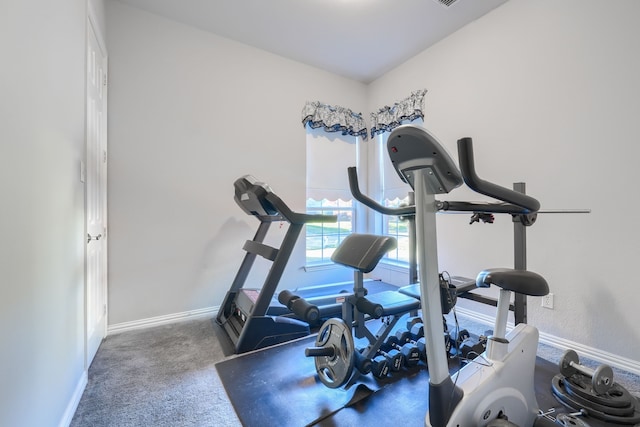 exercise room featuring carpet