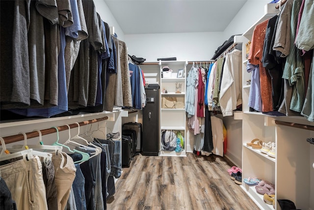 walk in closet with hardwood / wood-style floors