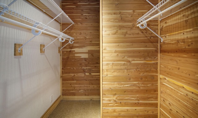 walk in closet featuring carpet floors