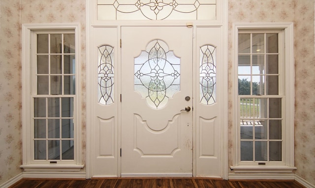 foyer entrance featuring dark hardwood / wood-style floors