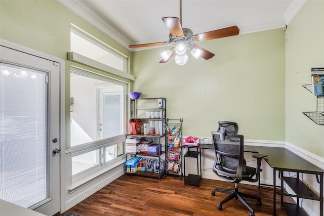 office area with crown molding, ceiling fan, and dark wood-type flooring